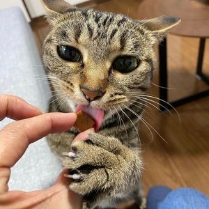 Meet your Posher, Zack